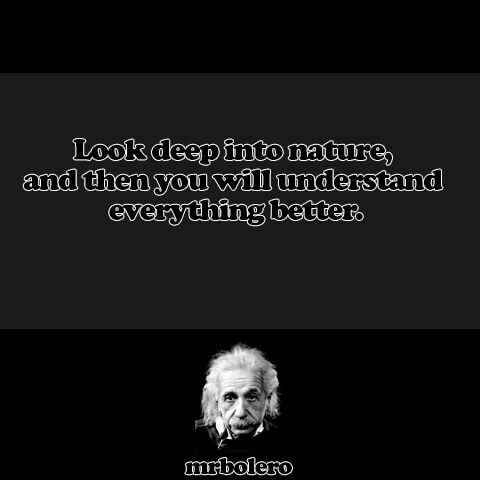 TOP 10 ALBERT EINSTEIN  QUOTES 1