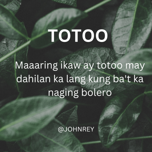 TOTOO