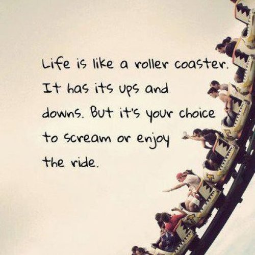 Motivational Quotes and Inspirational quotes : Life is like a roller coaster 