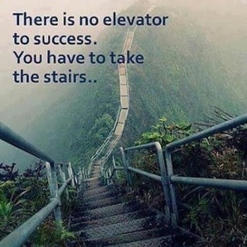 Success Quotes : No elevator to success you have to take the stairs