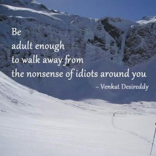 Be adult enough to walk away from the nonsense of idiots around you