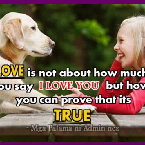 LOve Quotes : Love is not about how much you say I Love you but how you can prove that is True