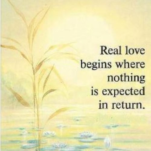 Mr Bolero Quotes : Real Love Means