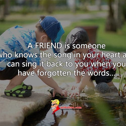 Best Friend Quote and Sayings – That Will Make You Happy