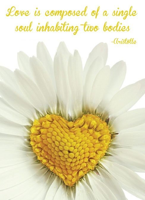 Aristotle Quotes ; Love Quotes