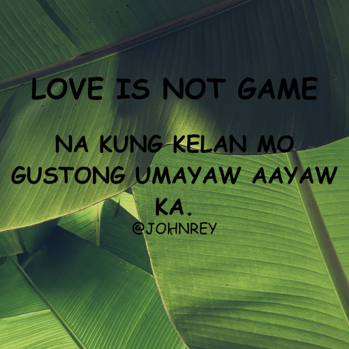 LOVE IS NOT GAME